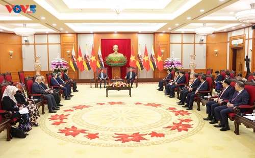 Thúc đẩy quan hệ Đối tác Toàn diện Việt Nam - Brunei - ảnh 2