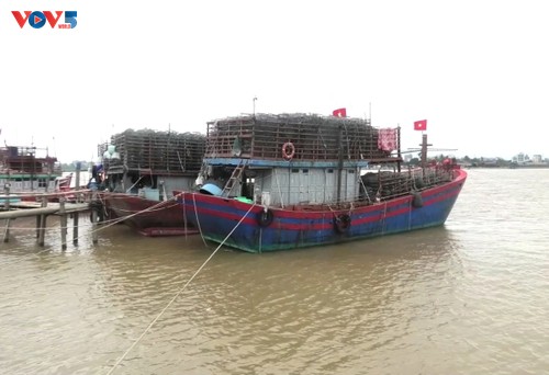 Ngư dân ngày càng nhận thức rõ hơn về IUU - ảnh 2