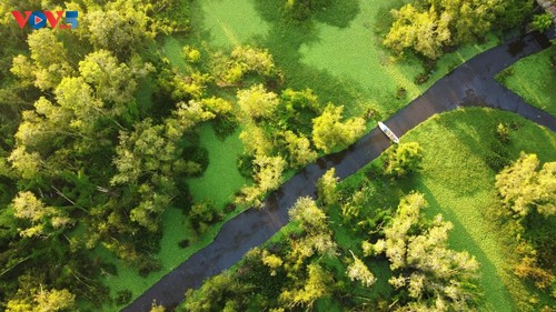 Khám phá rừng tràm Trà Sư, tỉnh An Giang - ảnh 1