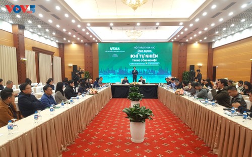 Việt Nam ứng dụng khí tự nhiên trong công nghiệp hướng tới Net Zero 2050 - ảnh 1