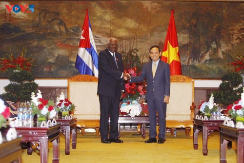 Thành phố Hồ Chí Minh cam kết tích cực hợp tác với các đối tác Cuba - ảnh 1