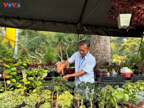 “Nghe lá hoa kể chuyện” - Khoảng lặng xanh giữa nhịp sống đô thị - ảnh 2