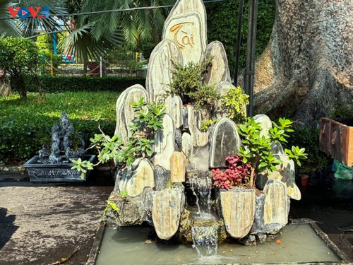 “Nghe lá hoa kể chuyện” - Khoảng lặng xanh giữa nhịp sống đô thị - ảnh 3