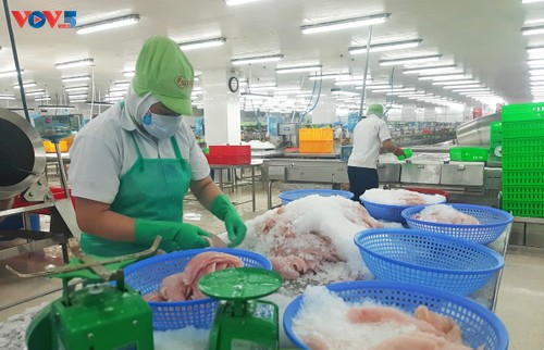 Đồng Tháp: Hoạt động xuất khẩu hàng hóa khởi sắc từ đầu năm - ảnh 1