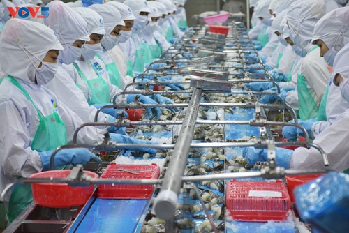 Ca Mau identifies marine economy as new growth pillar  - ảnh 1