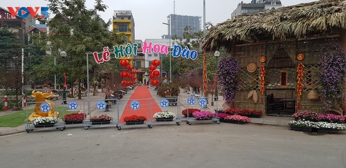 Цветочные деревни в предновогодние дни - ảnh 1