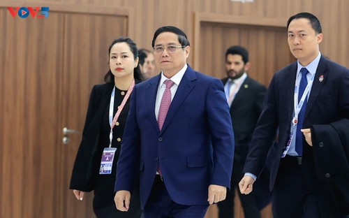 PM: Vietnam ready to cooperate with BRICS, international community to build a better world - ảnh 1