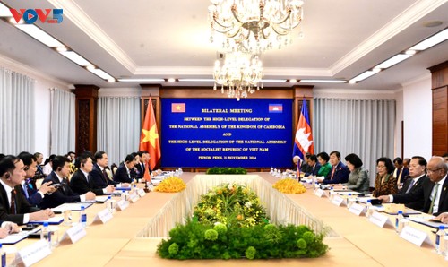 Vietnam consistently treasures relations with Cambodia: NA Chairman - ảnh 1