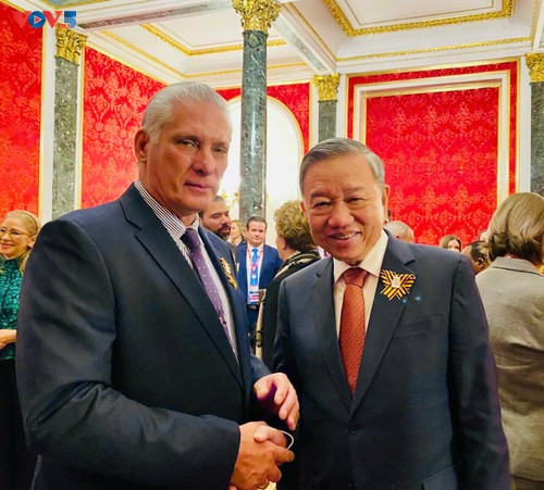 Party chief meets foreign leaders in Russia - ảnh 2
