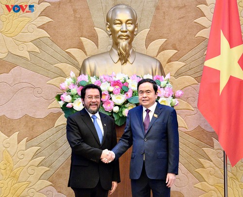Vietnam, Indonesia pledge to strengthen parliamentary ties - ảnh 1