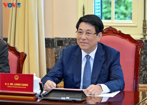 President Luong Cuong meets UN Resident Coordinator, Heads of UN agencies  - ảnh 3