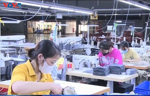 Modernized customs procedures boost Thanh Hoa’s import-export efficiency - ảnh 2