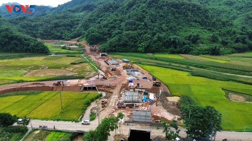 Working together to achieve development goals - ảnh 3