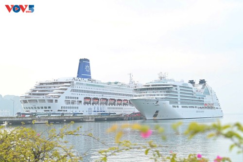 Quang Ninh – a popular stop on international cruise itineraries - ảnh 1