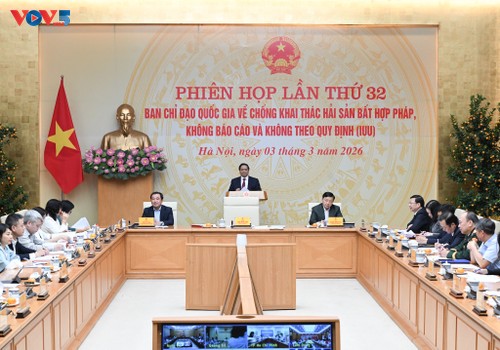 No individual allowed to undermine national efforts to combat IUU fishing: PM - ảnh 1