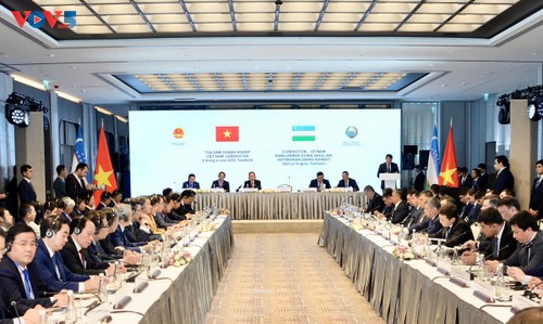 Jefe del Parlamento asiste al Foro Empresarial Vietnam - Uzbekistán - ảnh 1