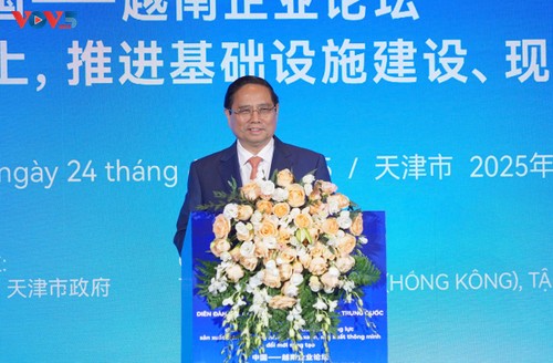 Primer Ministro: Empresas vietnamitas y chinas son un pilar clave en la conexión entre ambas economías - ảnh 1