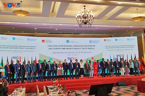 Vietnam propone impulsar la cooperación Sur–Sur para desarrollar el Programa OCOP - ảnh 1