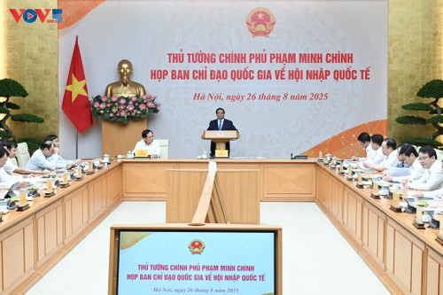 Vietnam acelera la implementación de políticas especiales para fortalecer la integración internacional - ảnh 1