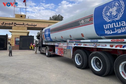 Egipto intensifica ayuda humanitaria a Gaza - ảnh 1