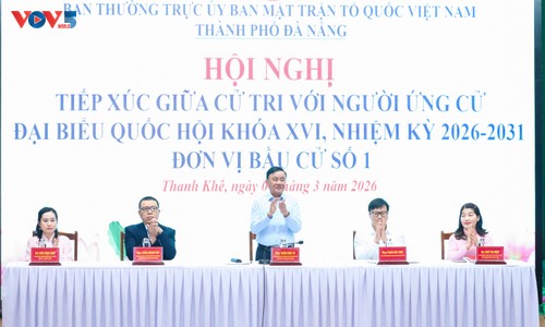 Dirigente partidista realiza actividades de campaña electoral en Da Nang  - ảnh 1