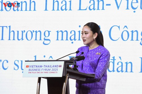 Vietnam und Thailand sind Hauptimpulse für Wirtschaftswachstum der ASEAN - ảnh 2