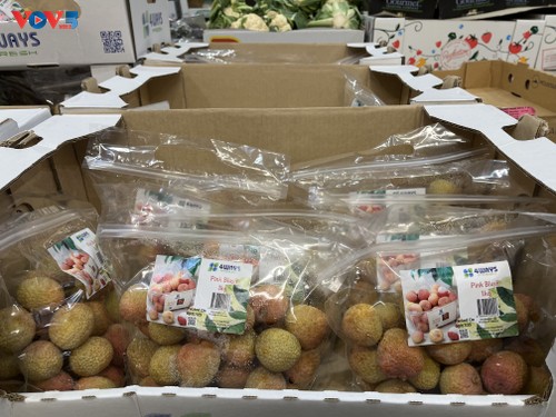 200 Tonnen frische Litschis aus Vietnams in Regalen der Supermarktkette Costco in Australien - ảnh 1