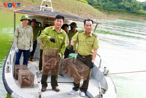 Nationalpark Vu Quang mit dem vielfältigsten Ökosystem in Vietnam - ảnh 2