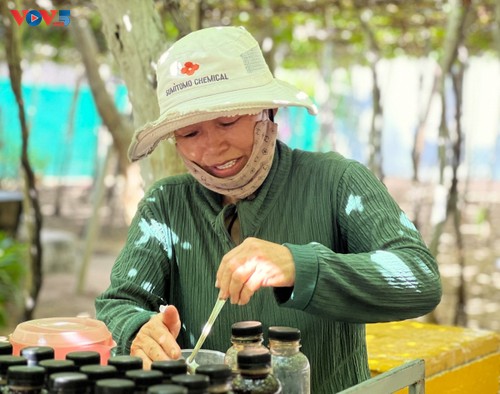 Trauben: landwirtschaftliche Früchte und touristische Produkte in Khanh Hoa - ảnh 1