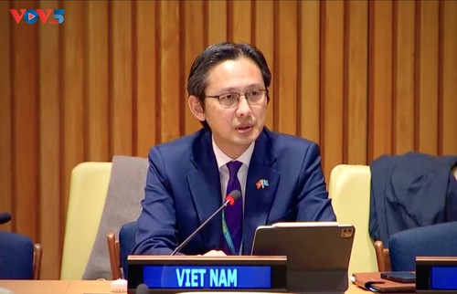 Vietnam ruft zur strikten Einhaltung des Völkerrechts auf - ảnh 1