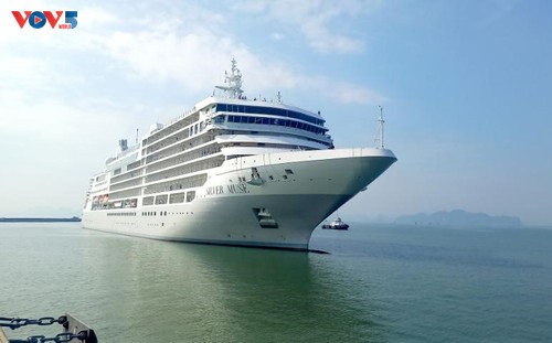 Cruise ships carry 1,200 foreign tourists to Quang Ninh - ảnh 1