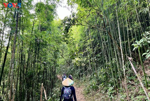 ຄົ້ນຫາ ຕາວານຜ່ານເສັ້ນທາງແຄມພູ. - ảnh 1