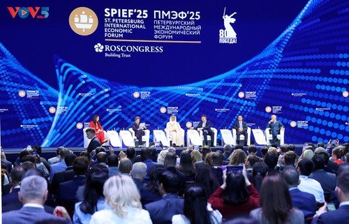 Forum de Saint-Pétersbourg: le Vietnam prône une diplomatie pacifique - ảnh 2