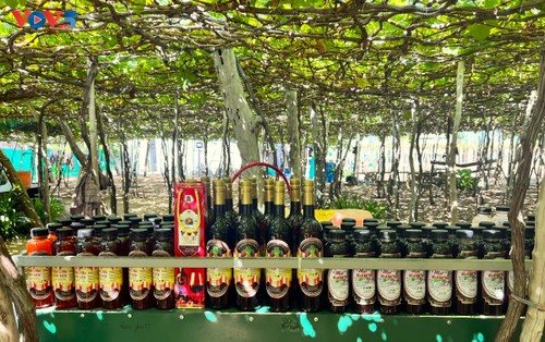 La viticulture de Khanh Hoa: d’un produit agricole à un atout touristique - ảnh 4