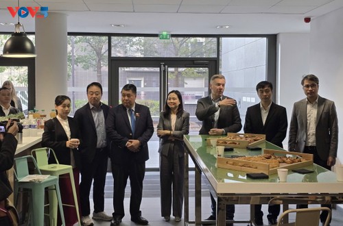 Les produits vietnamiens conquièrent le réseau de distribution français - ảnh 1