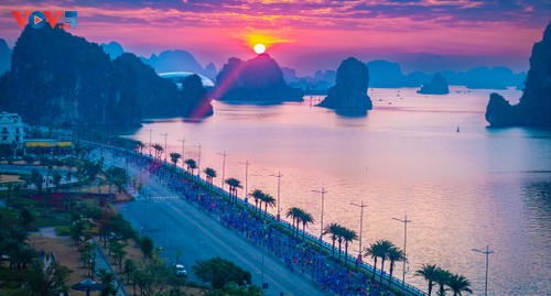 Halong obtient le label mondial d’athlétisme pour son marathon - ảnh 1