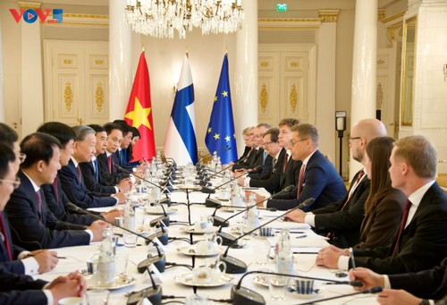 Le Vietnam et la Finlande élèvent leurs relations au rang de partenariat stratégique - ảnh 1
