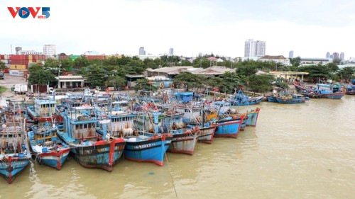 Le Vietnam modernise ses ports pour combattre la pêche illicite - ảnh 1