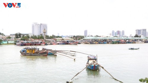 Le Vietnam modernise ses ports pour combattre la pêche illicite - ảnh 3