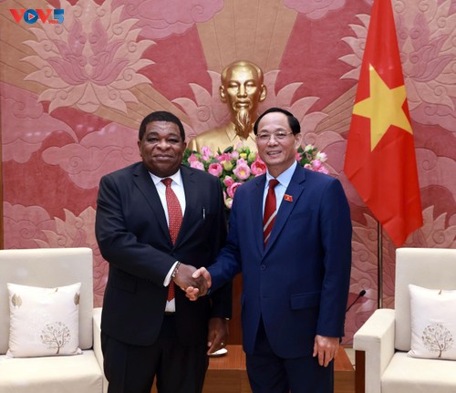 Renforcement de la coopération entre le Vietnam et l'UIP - ảnh 2