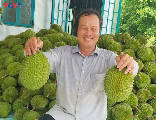 Huỳnh Thanh Lâm et son ambition de faire rayonner le durian de Nhon Ai - ảnh 3