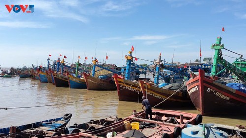 Lâm Dông intensifie la lutte contre la pêche illicite - ảnh 1