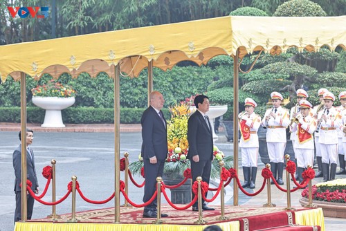 Le président hongrois entame sa visite au Vietnam - ảnh 1