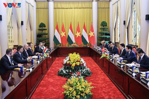 Entretien entre Luong Cuong et Sulyok Tamás - ảnh 1