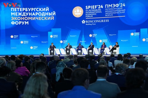 Saint-Pétersbourg accueille 20.000 participants pour son forum économique - ảnh 1