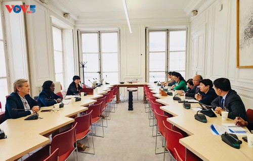 Une délégation parlementaire vietnamienne en France  - ảnh 3