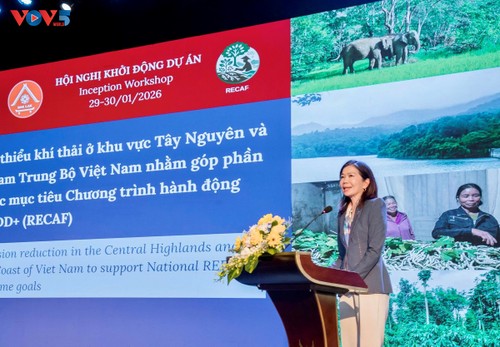 Plus de 102 millions de dollars mobilisés pour protéger les forêts du littoral du Centre méridional et des Hauts Plateaux - ảnh 2