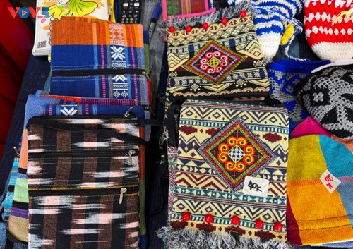 Quand la préservation de la brocatelle cham passe par le tourisme - ảnh 2