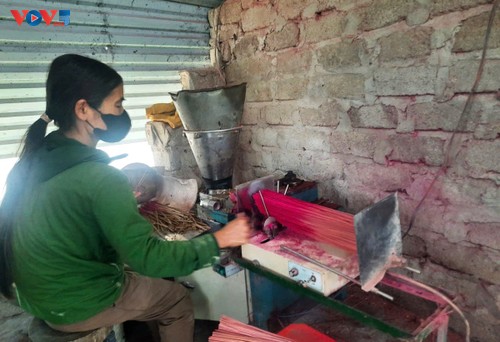 Le village de Báo Ân en pleine effervescence à l’approche du Têt - ảnh 3