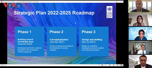 UNDP công bố các ưu tiên phát triển giai đoạn 2021-2025 cho khu vực châu Á-Thái Bình Dương - ảnh 1